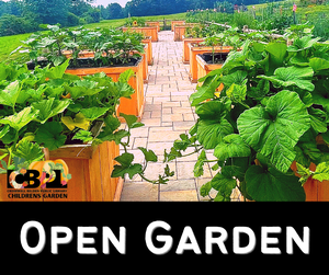 OPEN GARDEN OPEN GARDEN